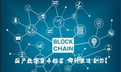 国产数字货币推荐:哪种最适合你?