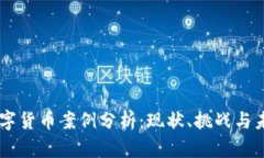 印度数字货币案例分析：