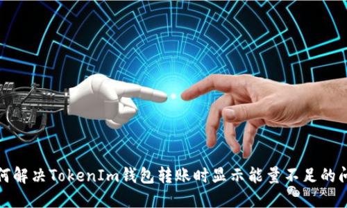 如何解决TokenIm钱包转账时显示能量不足的问题