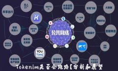 Tokenim是否会跑路？分析和