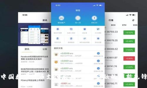 中国数字货币支付龙头:未来金融的创新先锋