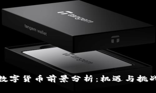 数字货币前景分析:机遇与挑战
