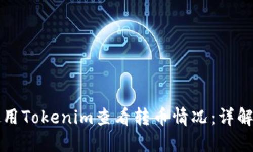 如何使用Tokenim查看转币情况:详解与指南