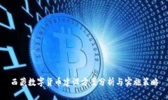 西藏数字货币建设方案分
