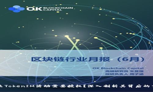 为什么TokenIM活动需要授权?深入剖析其背后的重要性