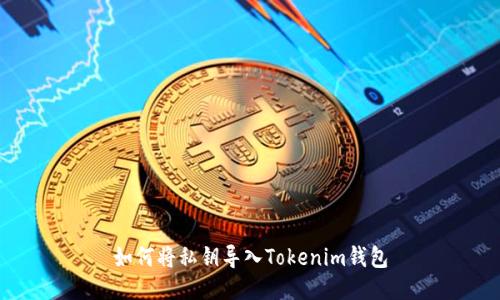如何将私钥导入Tokenim钱包