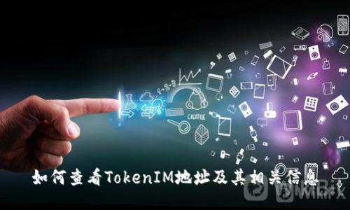 如何查看TokenIM地址及其相关信息