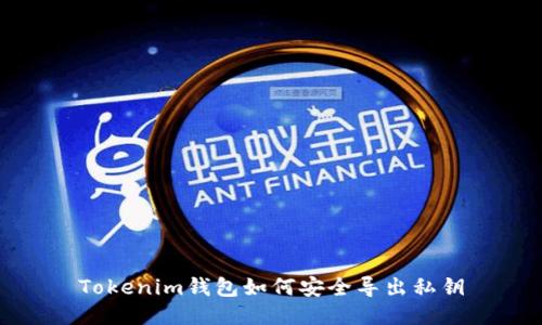 Tokenim钱包如何安全导出私钥