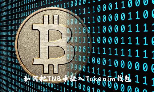 如何把TNB币放入Tokenim钱包