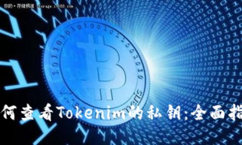 如何查看Tokenim的私钥:全面指南