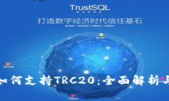 TokenIM如何支持TRC20：全面