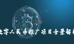 数字人民币推广项目全景