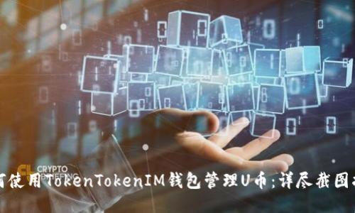 如何使用TokenTokenIM钱包管理U币:详尽截图指南
