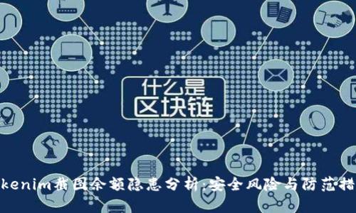 Tokenim截图余额隐患分析:安全风险与防范措施