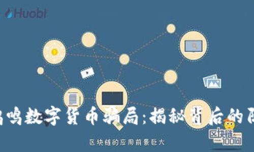 jiaoti赵鸿鸣数字货币骗局:揭秘背后的阴谋与真相
