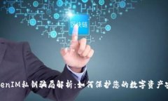 TokenIM私钥骗局解析：如何