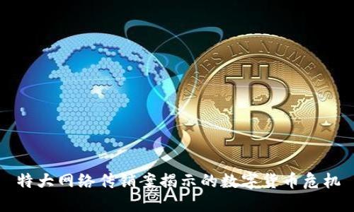 特大网络传销案揭示的数字货币危机