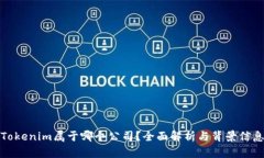 Tokenim属于哪个公司？全面