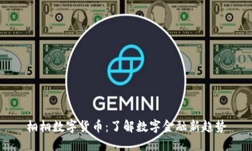 桐桐数字货币:了解数字金融新趋势