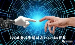 EOS映射风险解析与Tokenim详