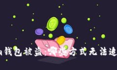 Tokenim钱包被盗：哪些方式