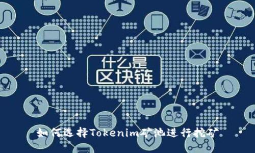 如何选择Tokenim矿池进行挖矿