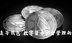 Tokenim麦子钱包：数字货币