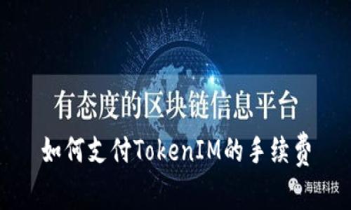 如何支付TokenIM的手续费