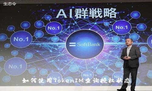 如何使用TokenIM查询授权状态
