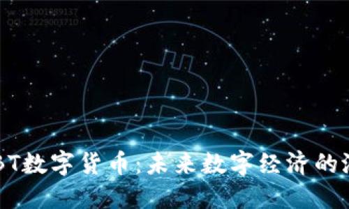 BIBT数字货币:未来数字经济的潜力