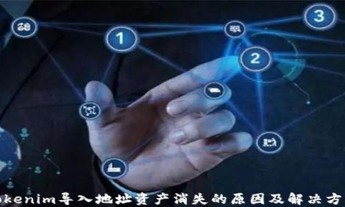 Tokenim导入地址资产消失的原因及解决方案