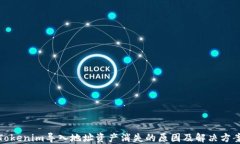 Tokenim导入地址资产消失的