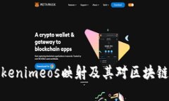 如何理解Tokenimeos映射及其