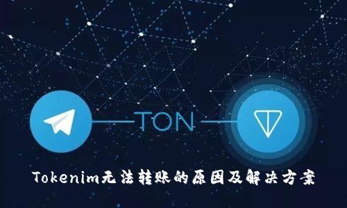 Tokenim无法转账的原因及解决方案