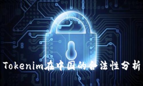 Tokenim在中国的合法性分析