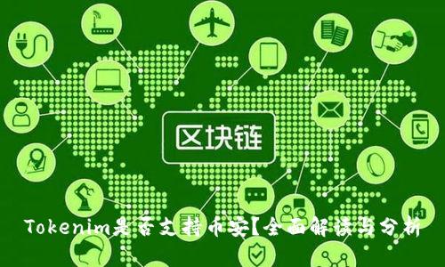 Tokenim是否支持币安?全面解读与分析
