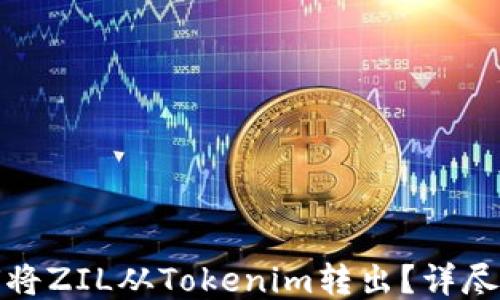 如何将ZIL从Tokenim转出?详尽攻略