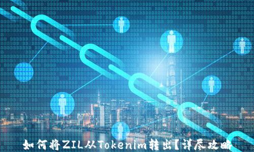 如何将ZIL从Tokenim转出?详尽攻略