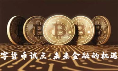 加快数字货币试点:未来金融的机遇与挑战
