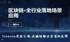 Tokenim开发公司：区块链解