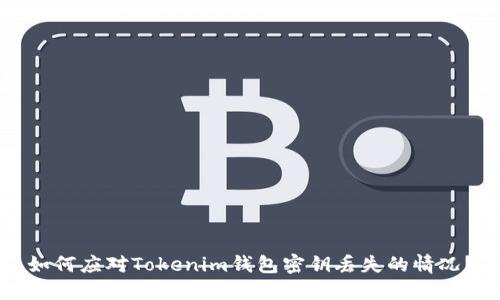 如何应对Tokenim钱包密钥丢失的情况?