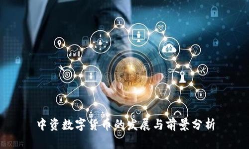 中资数字货币的发展与前景分析
