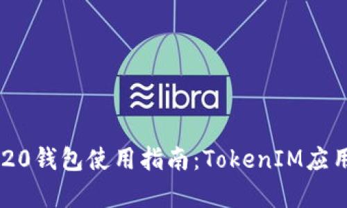 ERC20钱包使用指南:TokenIM应用解析