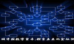 美丽中国数字货币：探索