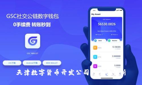 天津数字货币开发公司的全面解析