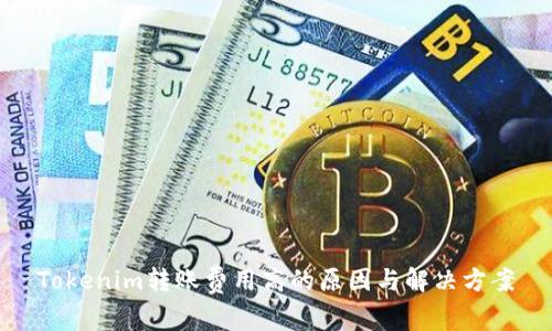 Tokenim转账费用高的原因与解决方案