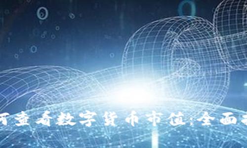 如何查看数字货币市值:全面指南