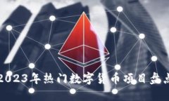 2023年热门数字货币项目盘