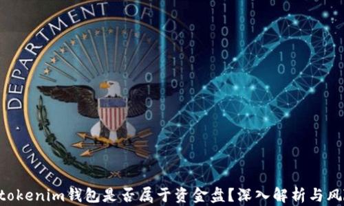 Tokentokenim钱包是否属于资金盘?深入解析与风险提示