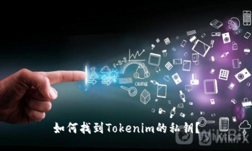 如何找到Tokenim的私钥?